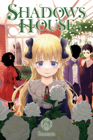Shadows House, Vol. 6 - Taylor Engel,Somato Somato