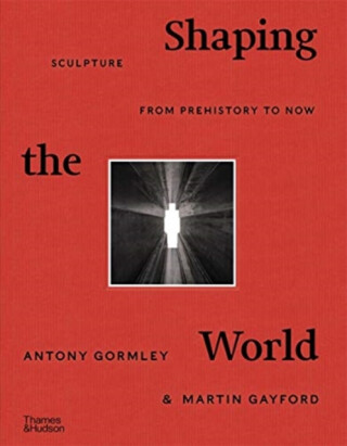 Shaping the World - Martin Gayford,Antony Gormley