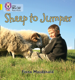 Sheep to Jumper - Fiona MacDonald