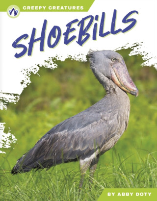 Shoebills - Abby Doty