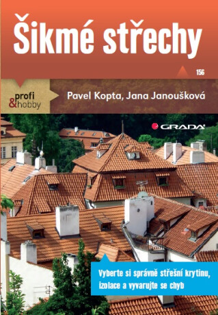 Šikmé střechy - Jana Janoušková,Pavel Kopta