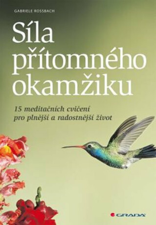 Síla přítomného okamžiku - 15 meditačních cvičení pro plnější a radostnější život - Gabriele Rossbach