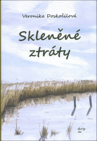 Skleněné ztráty - Veronika Doskočilová