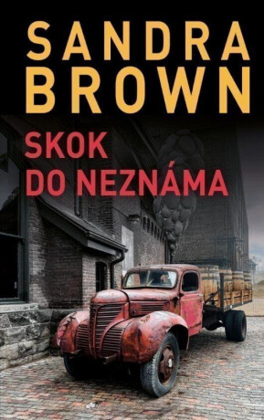 Skok do neznáma (poškozené) - Sandra Brown