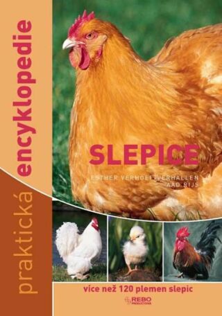 Slepice praktická encyklopedie - Esther Verhoef