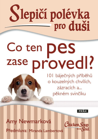 Slepičí polévka pro duši: Co ten pes zase provedl? - Amy Newmark,Miranda Lambertová