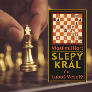 Slepý král - Vlastimil Hort