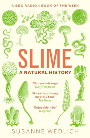 Slime - Susanne Wedlich