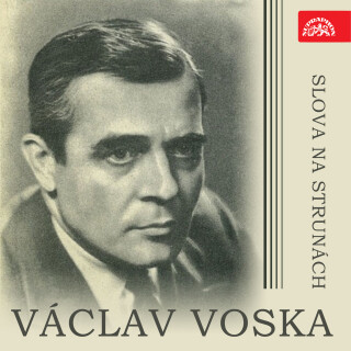 Slova na strunách - Paul Verlaine