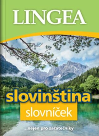 Slovinština slovníček - kol.,