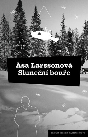 Sluneční bouře - Åsa Larssonová