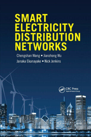 Smart Electricity Distribution Networks - 