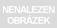 Smíšený les: Průzkum (rozšíření) - 
