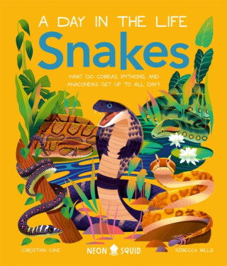 Kniha Snakes (A Day in the Life)
