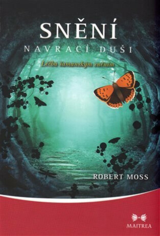 Snění navrací duši - Robert Moss