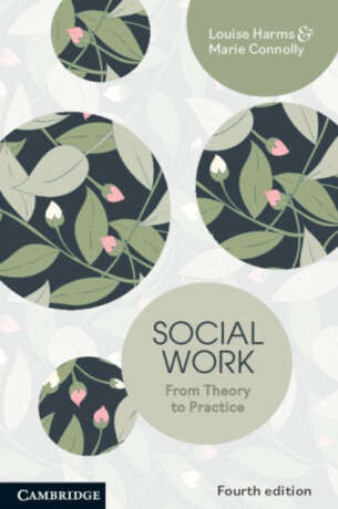 Social Work - Louise  Harms,Marie  Connolly