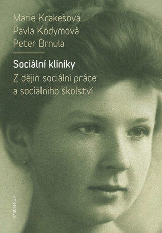 Sociální kliniky - Pavla Kodymová,Marie Krakešová,Peter Brnula