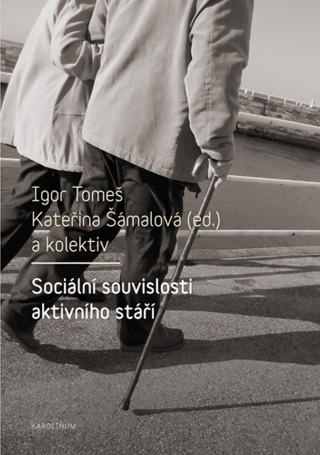 Sociální souvislosti aktivního stáří - Igor Tomeš,Kateřina Šámalová