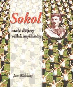 Sokol - malé dějiny velké myšlenky 1.díl - Jan Waldauf