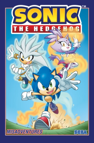 Sonic the Hedgehog, Vol. 16: Misadventures - Ian Flynn,Evan Stanley
