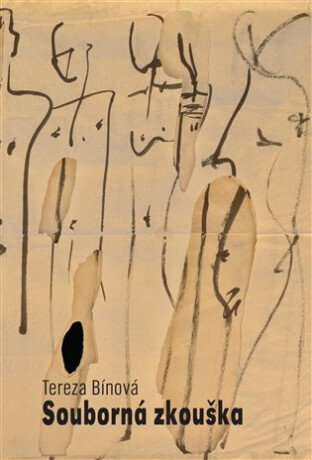 Souborná zkouška - Tereza Bínová