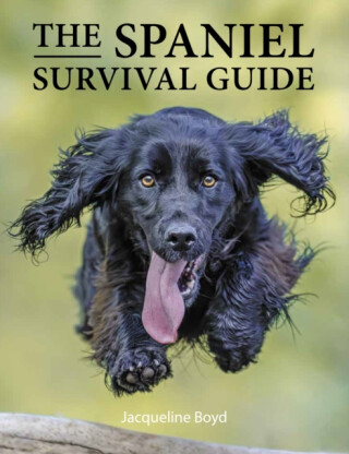 Spaniel Survival Guide - Dr Jacqueline Boyd