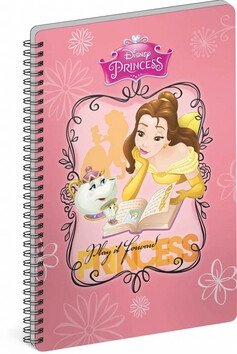 Blok - Princezny - Book (poškozené) - neuveden