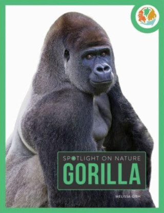 Spotlight on Nature: Gorilla - Melissa Gah