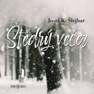 Štědrý večer - Josef Karel Šlejhar