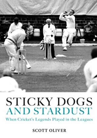 Sticky Dogs and Stardust - Scott Oliver