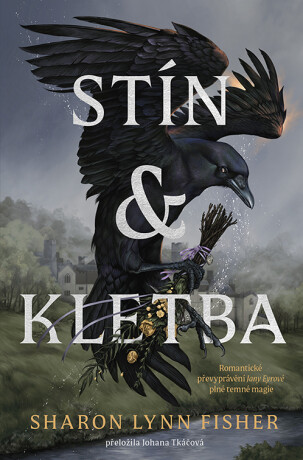 Stín a kletba - Sharon Lynn Fisher