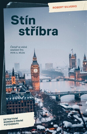 Stín stříbra - Robert Silverio