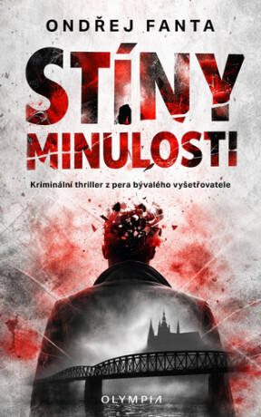 Stíny minulosti - Joan Johnston