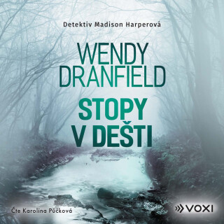 Stopy v dešti - Wendy Dranfield