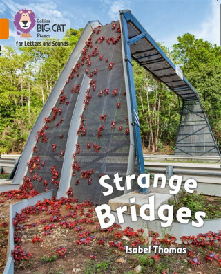 Strange Bridges - Isabel Thomas