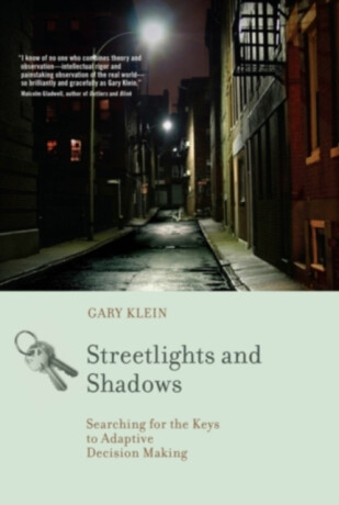 Streetlights and Shadows - Gary A.  Klein