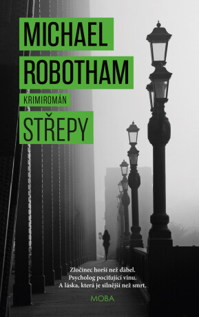 Střepy - Michael Robotham