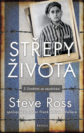 Střepy života - Steve Ross,Frank Glenn,Brian Wallace