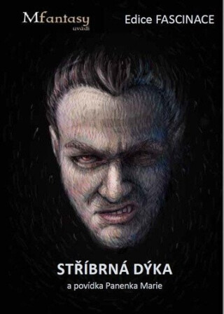 Stříbrná dýka - Šimek Petr