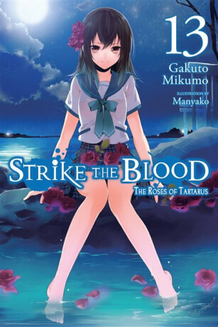 Strike the Blood, Vol. 13 (light novel) - Gakuto Mikumo,Manyako Manyako