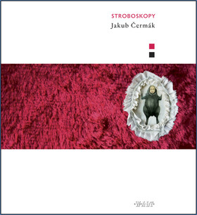 Stroboskopy - Jakub Čermák