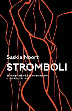 Stromboli - Saskia Noort