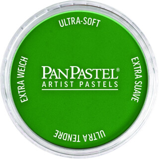PanPastel 9ml – 640.3 Permanent Green Shade - 