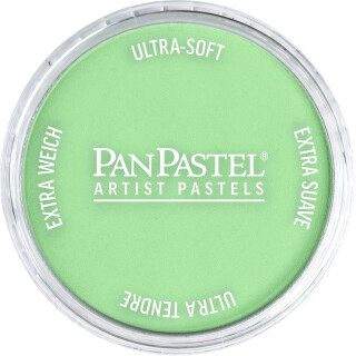 PanPastel 9ml – 660.8 Chromium Oxide Green Tint - 