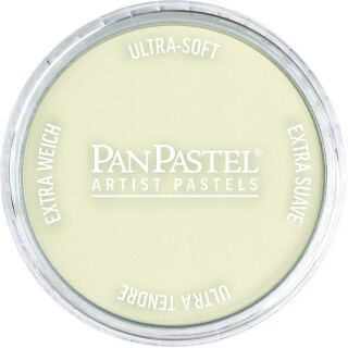 PanPastel 9ml – 780.8 Raw Umber Tint - 
