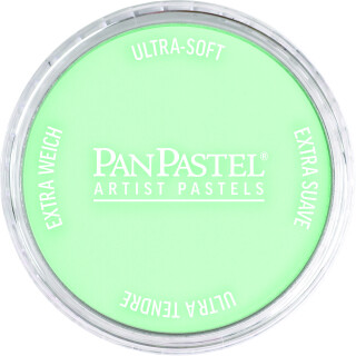 PanPastel 9ml – 956.5 Pearl Green - 