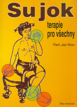 Léčení syrovou stravou - Kristine Nolfi