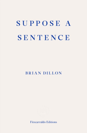 Suppose a Sentence - Brian Dillon