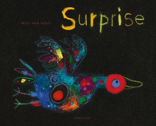 Surprise - Mies van Hout
