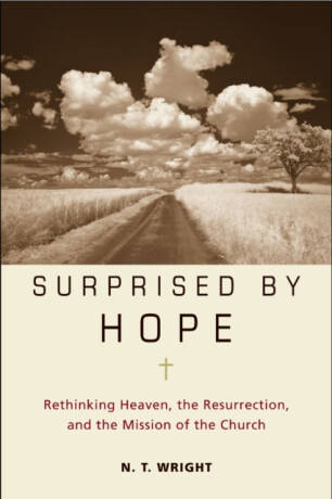 Surprised by Hope - N.T. Wright
